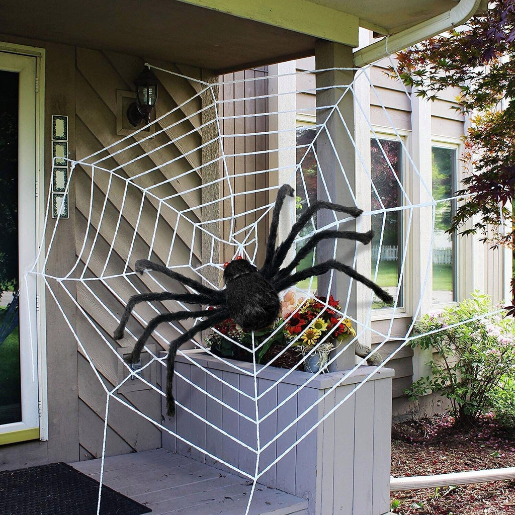5 Scary Spider 11.8inch